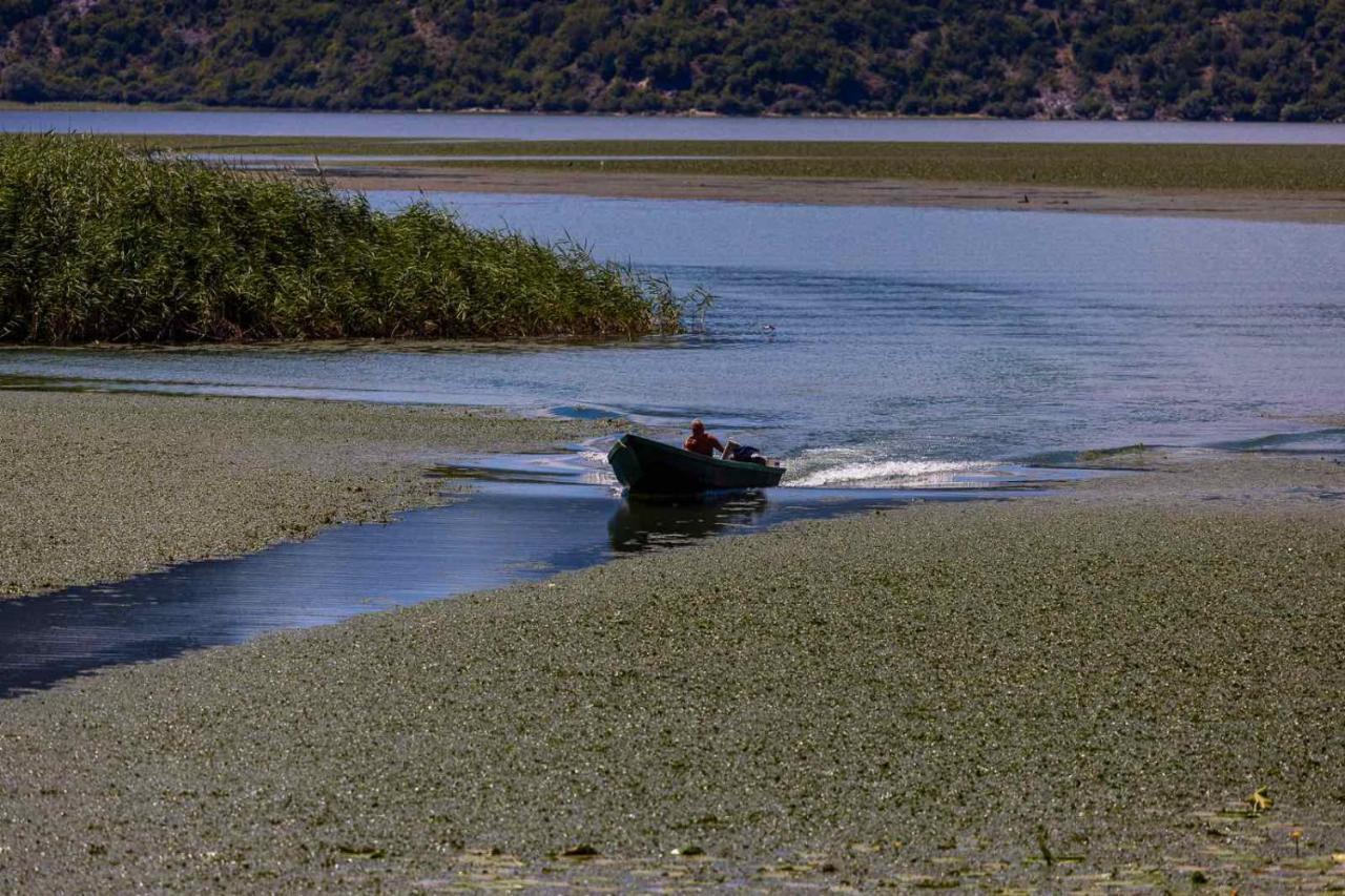 Lake House Buric Vranjina Dış mekan fotoğraf