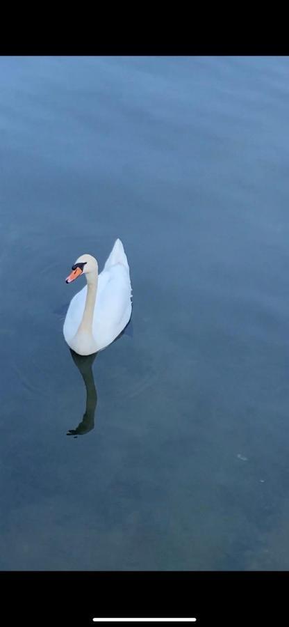 Lake House Buric Vranjina Dış mekan fotoğraf
